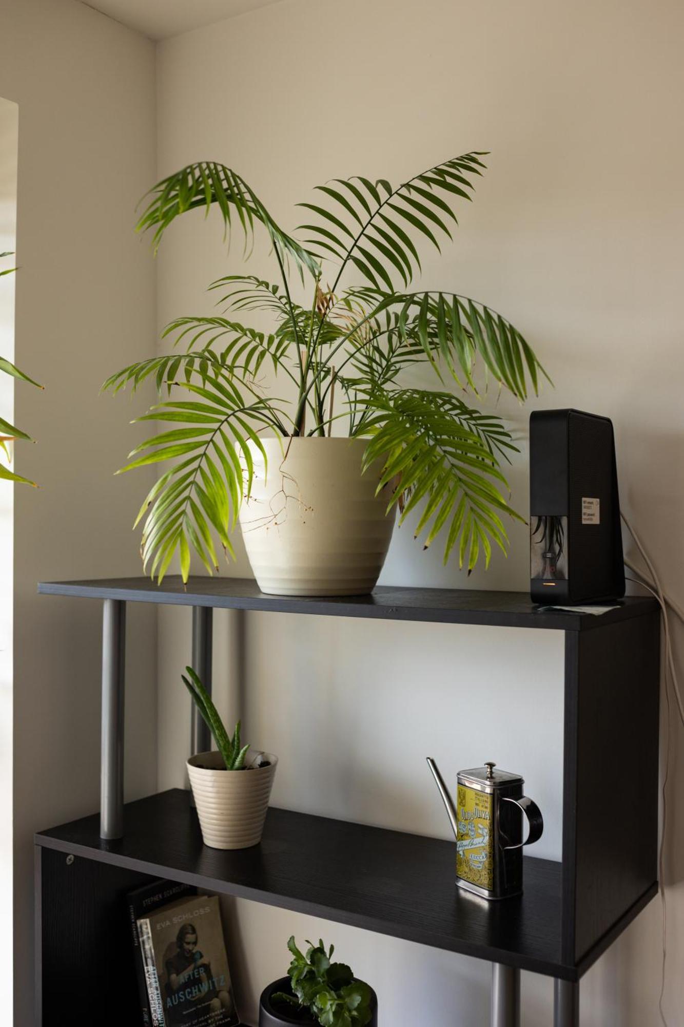 Comfy 2 Bedroom Apartment Near Edinburgh City Centre Ngoại thất bức ảnh